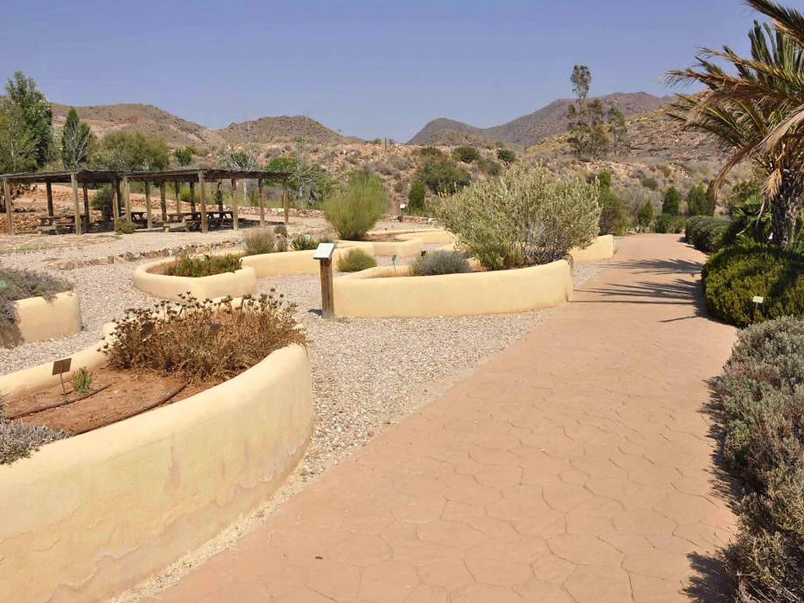 Jardín Botánico El Albardinal