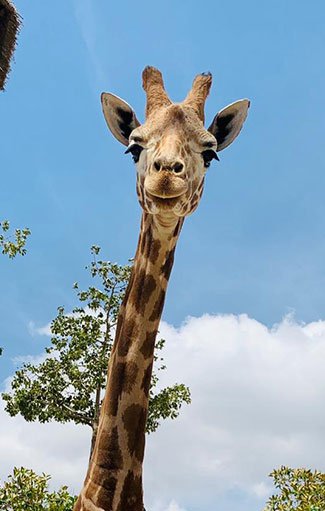 Reserva de Animales