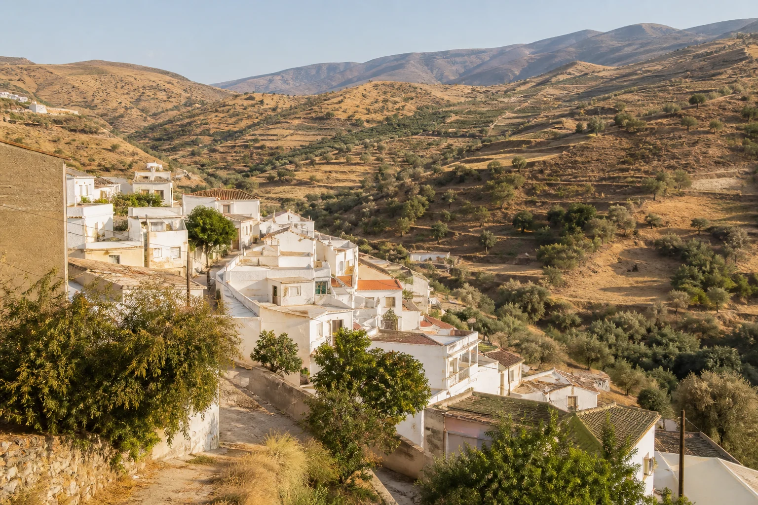Santa Cruz de Marchena