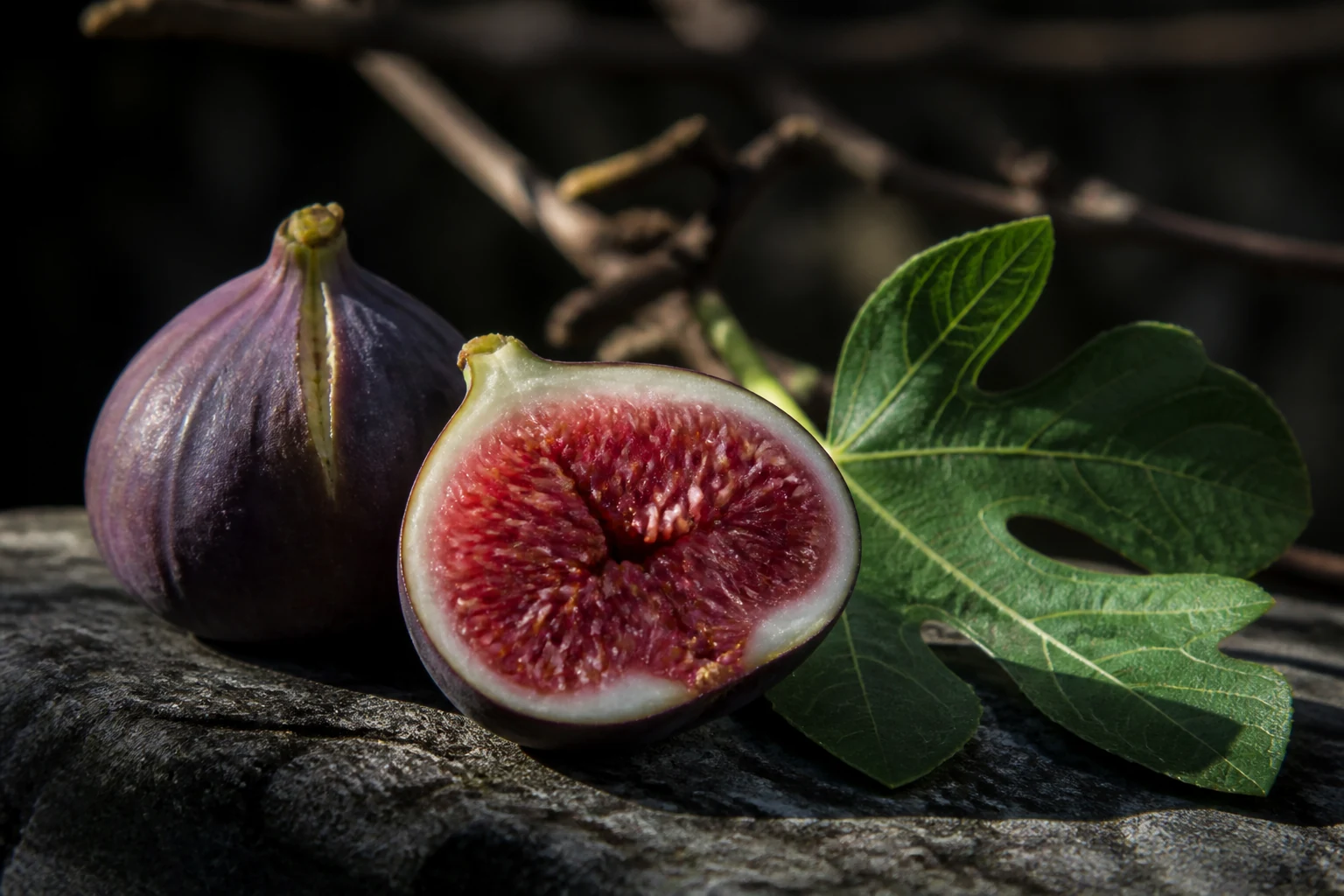 Fig