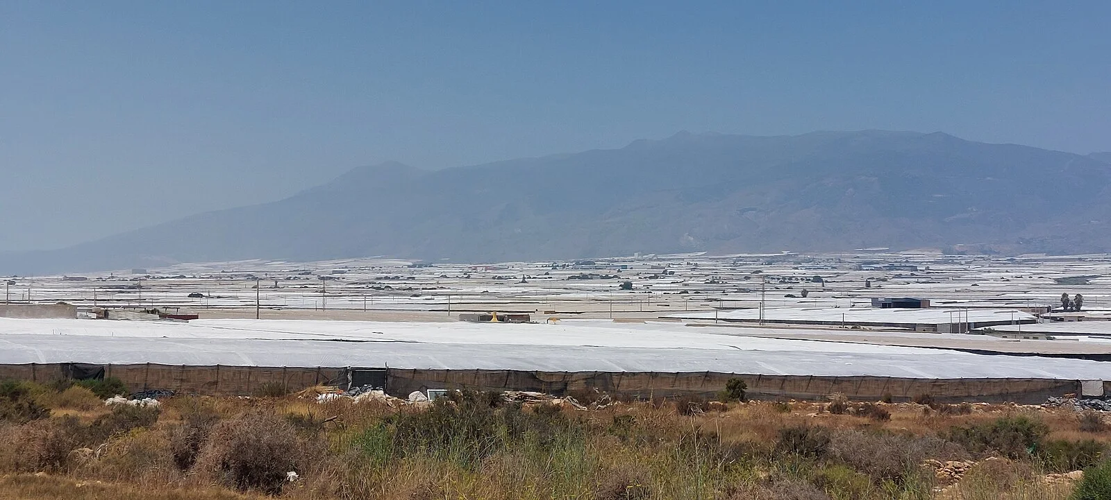 Sea of greenhouses in the province of Almería (ambience image)